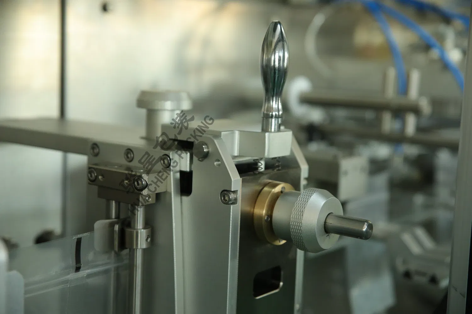 5g-5kg Horizontal Edible Oil Flour Powder Sauce Mayonnaise Beverage Jelly Top Spout Doypack Stand up Plastic Bag Pouch Filling Packing Bagging Machine Factory