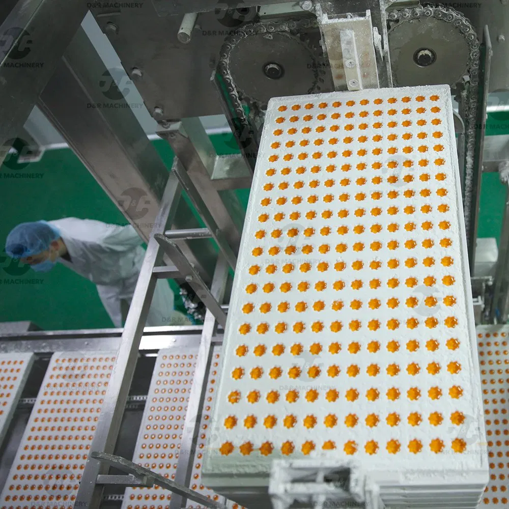 Automatic Starch Moulding Jelly Gummy Candy Making Machine Starch Mogul Line Center Filling Candy Depositing Production Line